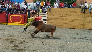 2da Corrida de Toros de la Provincia de El Seibo 2024 [upl. by Nnaeed]