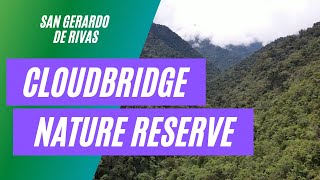 Cloudbridge Nature Reserve And San Gerardo De Rivas [upl. by Arratahs]