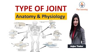 जोड़ों के प्रकार Type of Joint in Hindi  Synovial Fibrous Cartilaginous joints [upl. by Idnac]