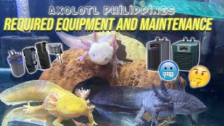 Axolotl Required Equipment and Maintenance Care Guide  Axolotl Philippines [upl. by Nodnar]