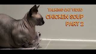 TALKING CAT VIDEO  CHICKEN SOUP PART 2 [upl. by Boorman]