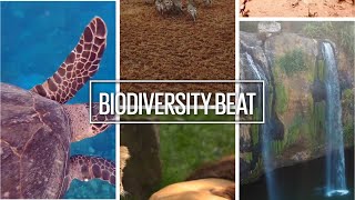 Biodiversity Beat Nairobi Meetings 2024 Overview on Day 1 13 May 2024 [upl. by Aicak]