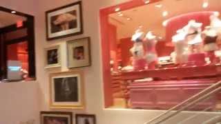 Tour of Flagship Victorias Secret amp PINK Store 34th Street New York Herald Square [upl. by Nedak]