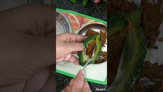 Fry Bharva karela recipe 🔥👍shotrs food testytesty homemadecooking easyrecipe [upl. by Martel]