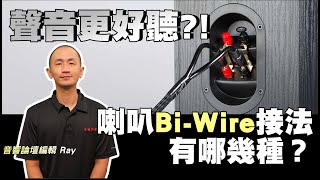 喇叭BiWire接法有哪幾種？各有什麼優缺點？ [upl. by Yemarej]