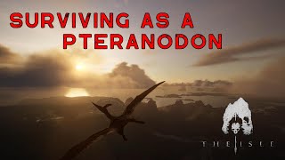 Surviving as a Pteranodon on the Official Servers  The Isle Evrima [upl. by Owens]