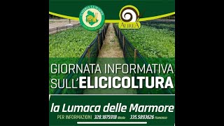 🐌 allevamento di lumache  primi passi per iniziare con l’attività di elicicoltura🐌 [upl. by Middendorf797]