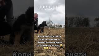 Щоб зняти повне відео завжди було купа експромтів 😆😆😆 [upl. by Tori]