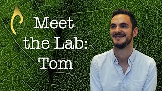 Meet the Lab – Tom Crowther [upl. by Ramor]