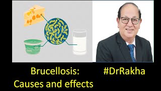 Brucellosis Causes and effects DrRakha [upl. by Aeli617]