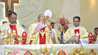 Feast of the Portiuncula 2016  Holy Mass [upl. by Atcele]