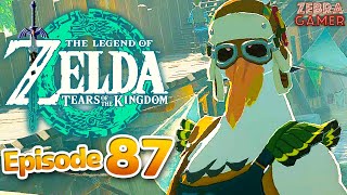 All Potential Princess Sightings  The Legend of Zelda Tears of the Kingdom Walkthrough Part 87 [upl. by Htebaras141]