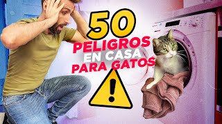 50 PELIGROS EN CASA cuando vives CON UN GATO ⚠️🙀 [upl. by Spark245]