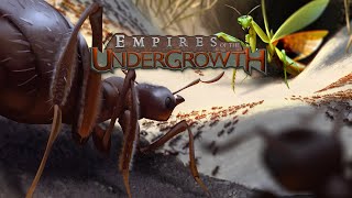 Midweek Stream  Empires of the Undergrowth [upl. by Bickart951]