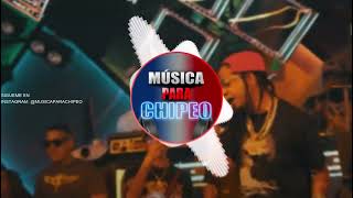 Rochy RD  BANDIDO EN VIVO  DOBLE TONO  Para Musicologos [upl. by Ssirk]