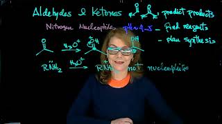 Nitrogen nucleophiles imine amp enamine formation Dr Tania CS [upl. by Vite]