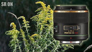 Pentax DA 55mm f14 amp K01 Video Lens Testing [upl. by Nnaeus903]