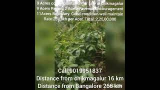 9 Acre coffee plantation for sale in chikmagalurprice25 Lakh per Acrecall me9019951837 [upl. by Cherish576]