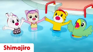 Ready for Pool Season 😎 Courage  24 Minute Compilation  Kids video for Kids  Shimajiro [upl. by Oirromed]