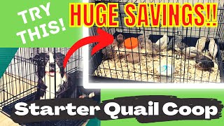 The Perfect Starter Quail Cage for Coturnix Quail  Deep Litter Bedding Method  Guten Yardening [upl. by Ennaisoj]