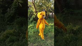 Teddy bear funny reaction video funnyteddy funny teddydear teddycomedy [upl. by Ehcsrop]