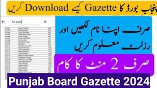 11th class gazette 2024  how to download gazette  1st year gazette [upl. by Keram644]