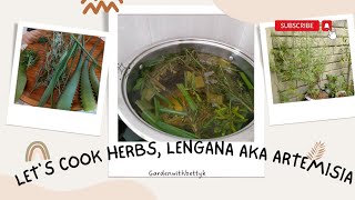 How to boil Wormwood for Flu aka Lengana Home remedies and more [upl. by Aitnas]