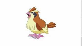 Pokemon Cries  Pidgey  Pidgeotto  Pidgeot [upl. by Buatti]