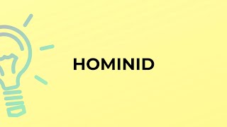 What is the meaning of the word HOMINID [upl. by Ydnec434]