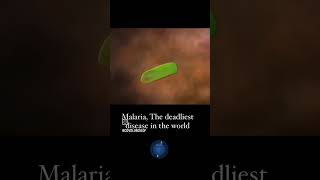 Malaria the deadliest disease in the world narendra [upl. by Arriec]