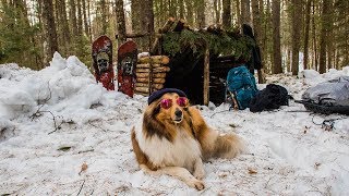 Overnight Camping at My Bushcraft Shelter in the Snow [upl. by Tombaugh]