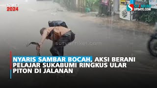 Nyaris Sambar Bocah Aksi Berani Pelajar Sukabumi Ringkus Ular Piton di Jalanan [upl. by Sinnel]