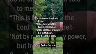 By My Spirit  Zechariah 46 [upl. by Randolf]