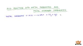 Chemical properties of Acids and Bases [upl. by Eadmund]