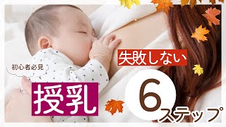 失敗しない授乳！６ステップ 授乳 新米母 [upl. by Duax]