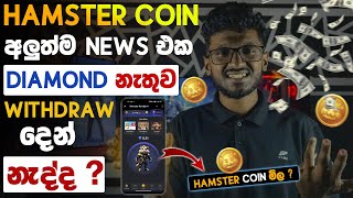 How to earn free e money online sinhalaHamster new Update sinhalaEarn money online SinhalaEmoney [upl. by Battat776]