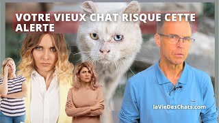 VOTRE VIEUX CHAT RISQUE CETTE ALERTE APRÈS SES 10 ANS [upl. by Adley]