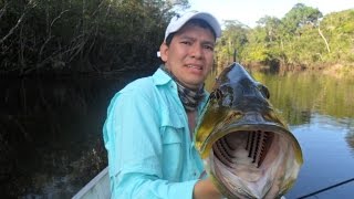 fishing colombia PESCA PAVON CAÑO BOCON GUAINIA COLOMBIA [upl. by Strohbehn]