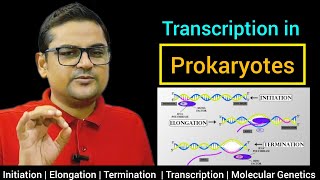 Transcription in Prokaryotes  Molecular Genetics  Class 12NEET by Pashupati Sir [upl. by Hbaruas586]