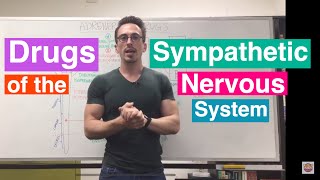 Adrenergic Drugs  Drugs of the Sympathetic Nervous System [upl. by Nauquf]