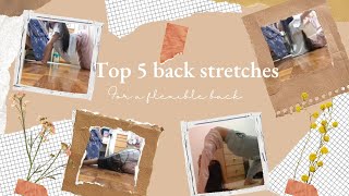 top 5 back stretches for a flexible back [upl. by Abehsat]