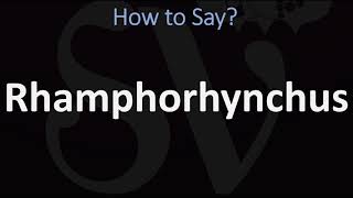 How to Pronounce Rhamphorhynchus CORRECTLY [upl. by Manas]