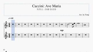 카치니  아베 마리아 바이올린 편곡 Caccini Ave Maria for Violin [upl. by Dunseath]