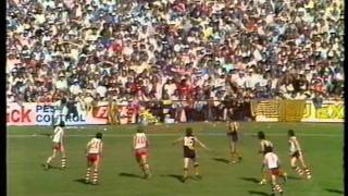 1981 Grand Final  WAFL  South Fremantle v Claremont [upl. by Gayla]