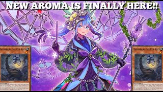 NEW AROMA CARDS FINALLY Plus Ragnaraika Combo Engine  Yugioh Master Duel [upl. by Rhys533]