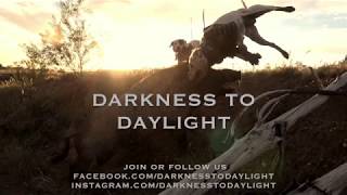 Hunting Australia Pig Hunting DVD Darkness To Daylight [upl. by Aitnis]