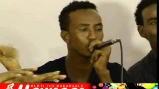 XARIIR AXMED HEES quotJACAYL dhab ahquot 2015 [upl. by Suirtemed]