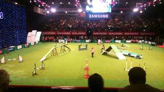 Ashleigh and Pudsey at Crufts 2014  they won [upl. by Gibeon124]