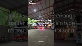 Short bus shortvideo miniaturbus busmania subscribe shortshorts basuri minibus automobile [upl. by Damha]