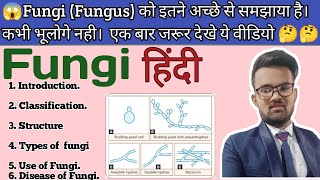 Fungi Fungus Introduction And Classification In हिंदी  Easy Way To Explain Fungus  Mycology [upl. by Marni]